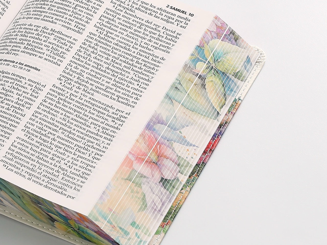 Biblia NVI letra grande